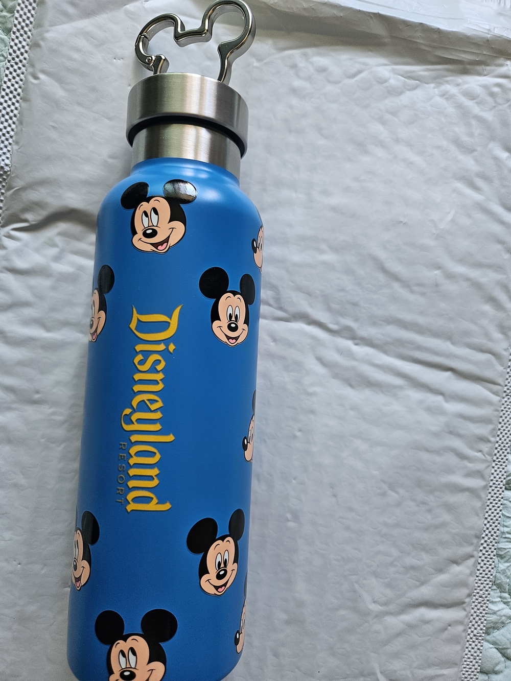 Disney Mickey Mouse Stainless Steel Water Bottle